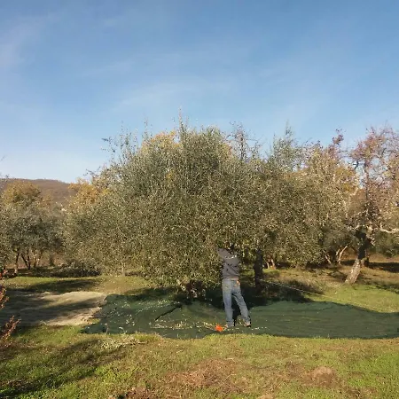 Borgo San Michele Incisa Tuscany